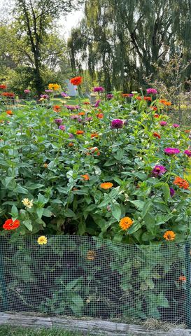 9910 Brookview Road, Woodbury, MN 55125