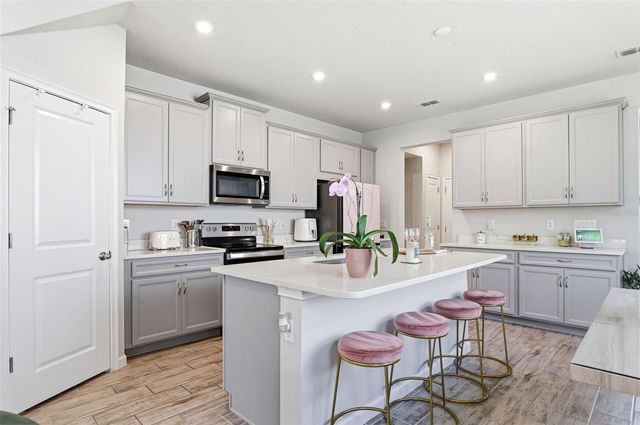 4220 CLOUD HOPPER WAY, Lutz, FL 33559