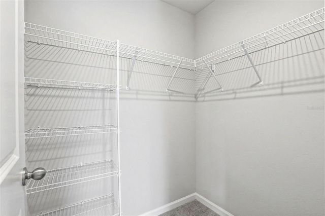 4220 CLOUD HOPPER WAY, Lutz, FL 33559