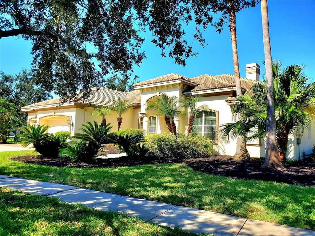 10004 TREE TOPS LAKE ROAD, Tampa, FL 33626