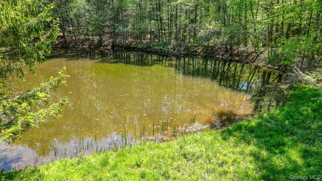 75 Stafford Road, Swan Lake, NY 12783