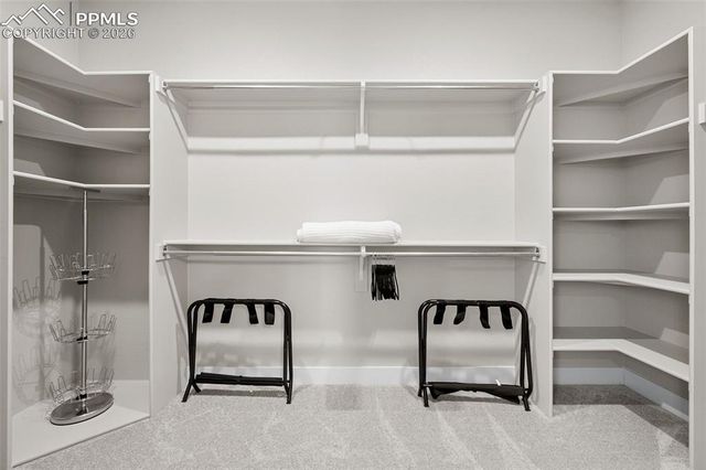 2145 Coyote Mint Drive, Monument, CO 80132