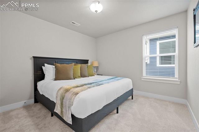 2145 Coyote Mint Drive, Monument, CO 80132