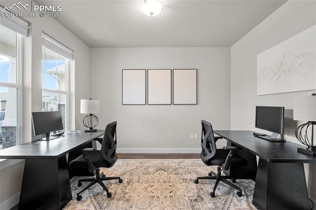 2145 Coyote Mint Drive, Monument, CO 80132