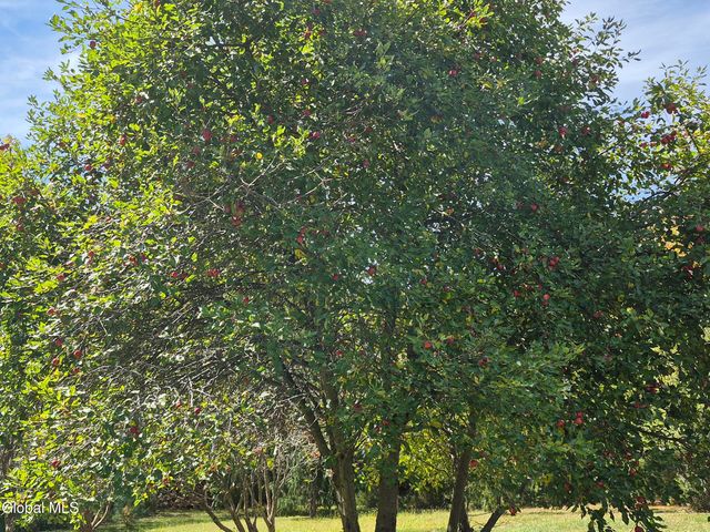 217 Keesler Corners Road, Fort Plain, NY 13339