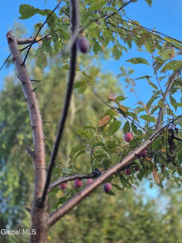 217 Keesler Corners Road, Fort Plain, NY 13339