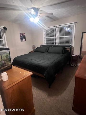 387 Dogwood Heights Drive, Tazewell, TN 37879