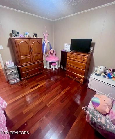 387 Dogwood Heights Drive, Tazewell, TN 37879