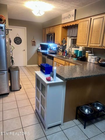 387 Dogwood Heights Drive, Tazewell, TN 37879