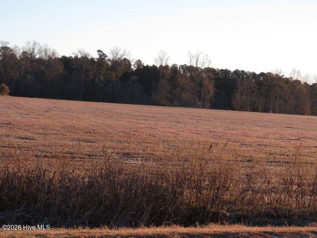 Tract 2 E Raynham Road, Fairmont, NC 28340