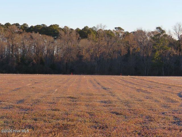 Tract 2 E Raynham Road, Fairmont, NC 28340