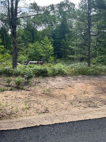 parcel B Hoosier Flats Road, Blair Twp, MI 49685