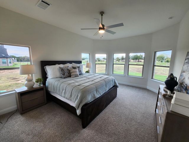 394 Willie's Court, Whitesboro, TX 76273