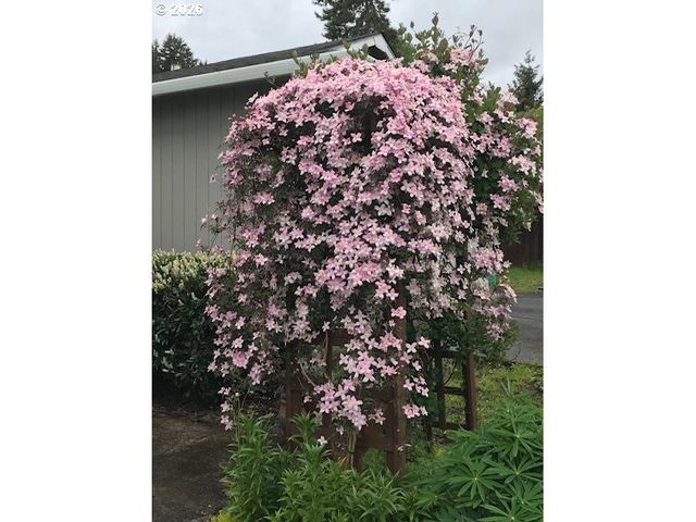 17824 Sw GRANADA Dr, Beaverton, OR 97007