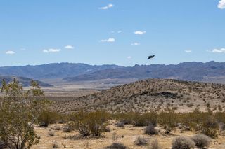 142 Shifting Sands, Joshua Tree, CA 92252