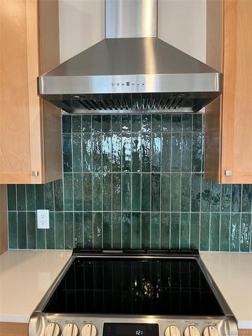 1308 Silver Vault St Street, Leadville, CO 80461