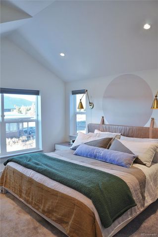 1308 Silver Vault St Street, Leadville, CO 80461