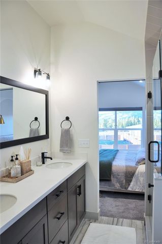 1308 Silver Vault St Street, Leadville, CO 80461