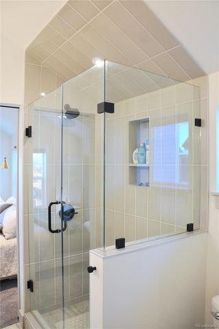 1308 Silver Vault St Street, Leadville, CO 80461