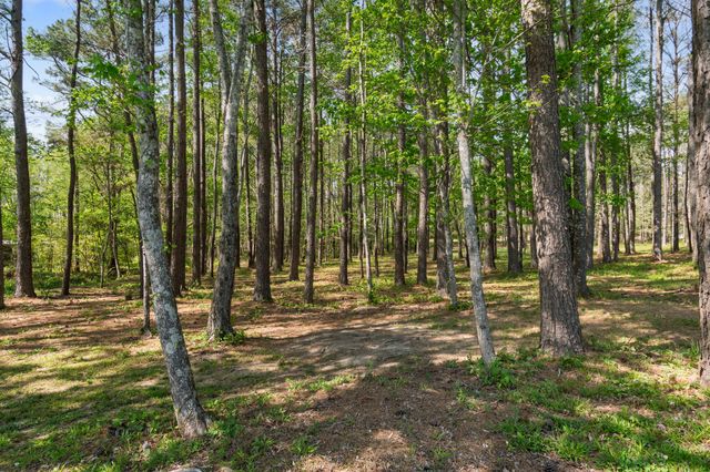 5609 Bending Chestnut Road, Franklin, TN 37064