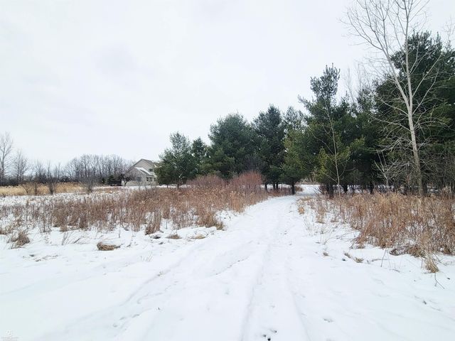 9561 Wilkes Road, Avoca, MI 48006