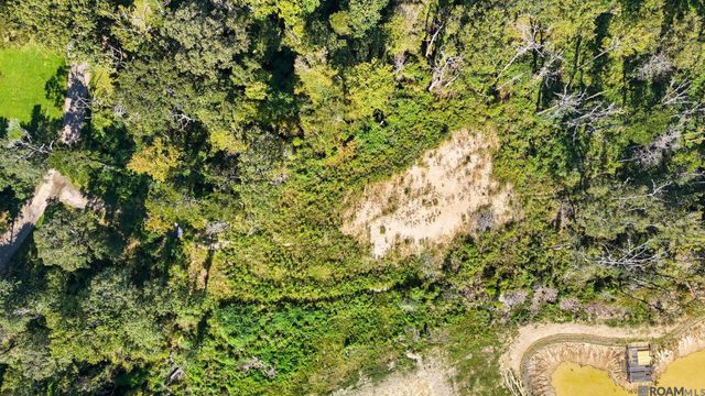 8637 Wildwood Dr, Denham Springs, LA 70706