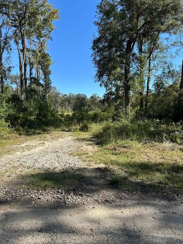 8637 Wildwood Dr, Denham Springs, LA 70706