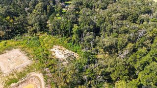 8637 Wildwood Dr, Denham Springs, LA 70706