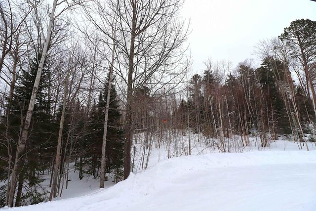 22715 Ash St, Cornucopia, WI 54827