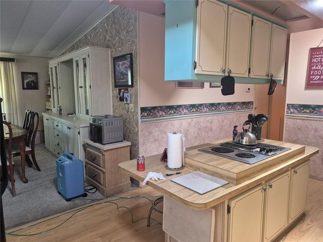 3021 MYAKKA RIVER ROAD, Tavares, FL 32778
