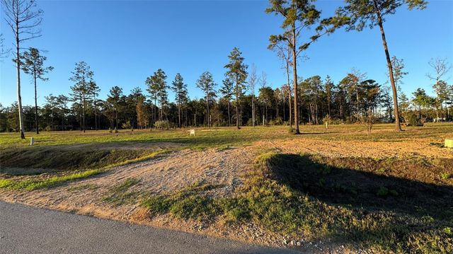 20039 Kincaid Drive, Conroe, TX 77306