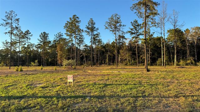 20039 Kincaid Drive, Conroe, TX 77306