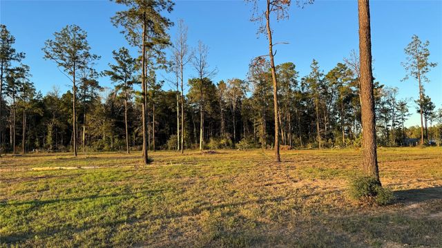 20039 Kincaid Drive, Conroe, TX 77306