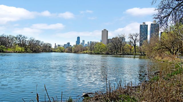 2500 N Lakeview Avenue 3002, Chicago, IL 60614