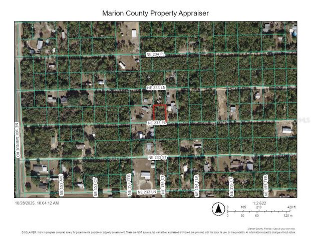 TBD NE 233RD PLACE, Fort Mc Coy, FL 32134
