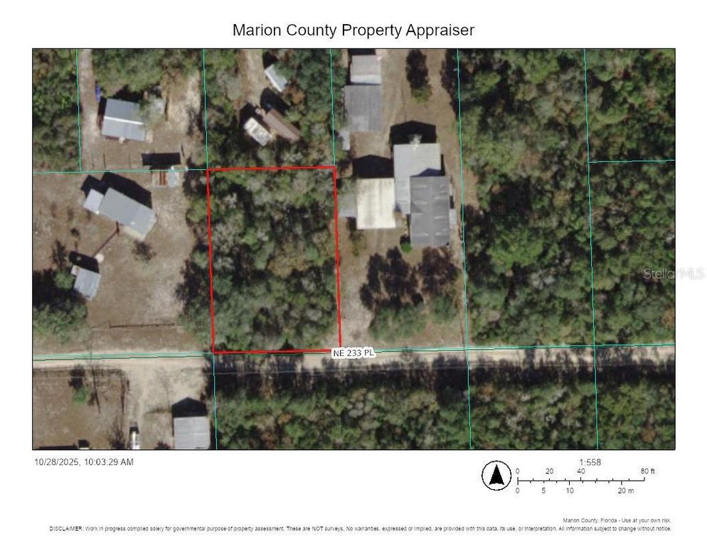 TBD NE 233RD PLACE, Fort Mc Coy, FL 32134