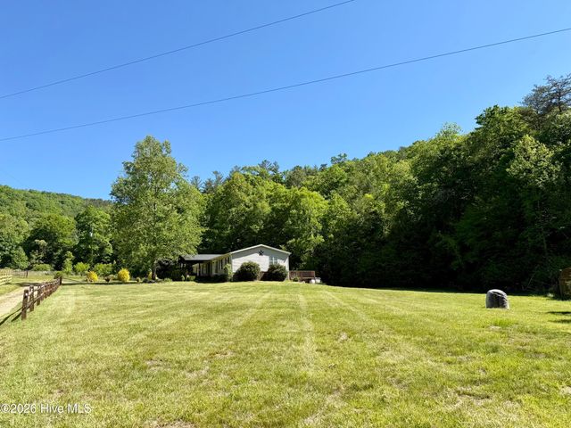 1038 Blackburn Hollow Road, Purlear, NC 28665