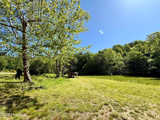 1038 Blackburn Hollow Road, Purlear, NC 28665