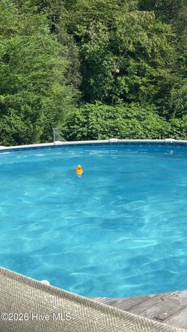 1038 Blackburn Hollow Road, Purlear, NC 28665