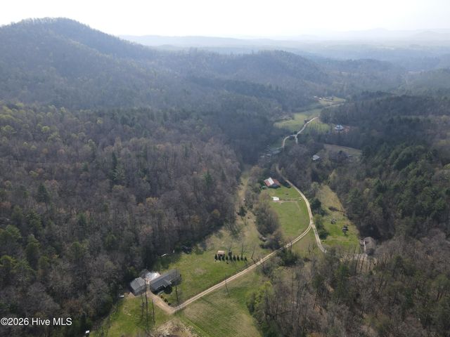 1038 Blackburn Hollow Road, Purlear, NC 28665