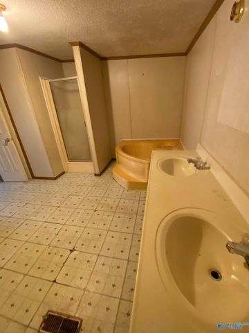 4943 S Alabama Highway 172, Hodges, AL 35571