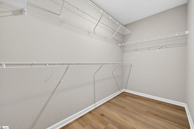 14 Snowy Court, Fountain Inn, SC 29644