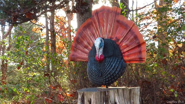 00 N. Quaker Lane, Staatsburg, NY 12580