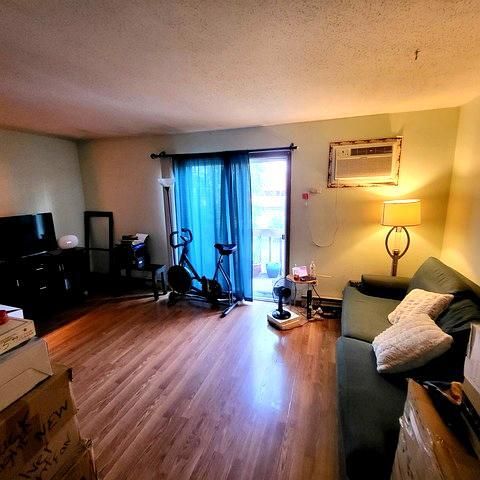 212 Madison Street 3B, Joliet, IL 60435