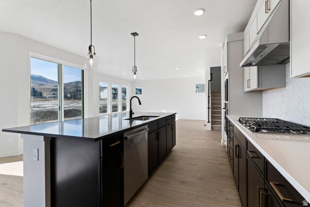 1117 W MAHOGANY ST, Saratoga Springs, UT 84045