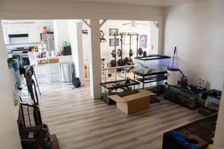 5815 Falon Way, San Jose, CA 95123