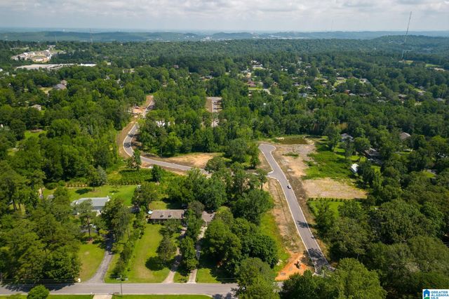 3317 CHANDLER WAY, Hoover, AL 35226