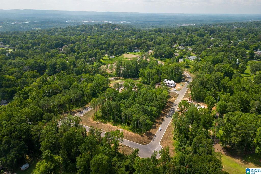 3317 CHANDLER WAY, Hoover, AL 35226