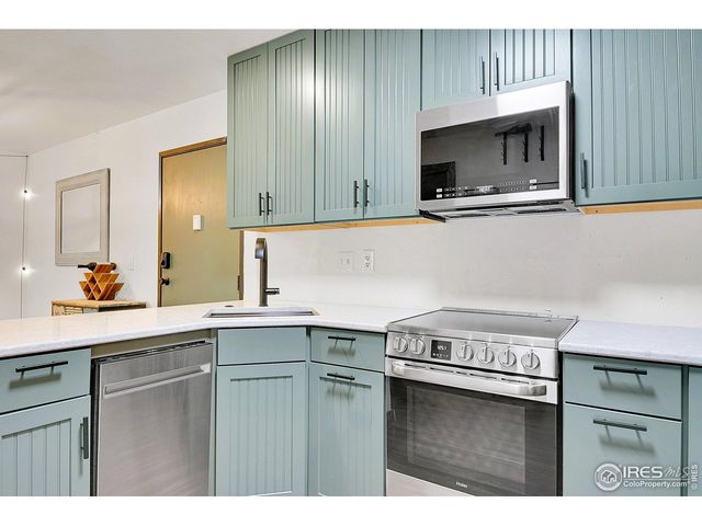 31270 John Wallace Rd 305, Evergreen, CO 80439