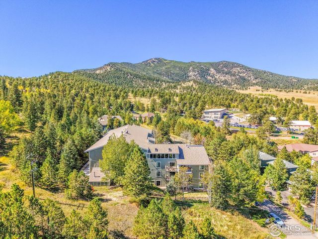31270 John Wallace Rd 305, Evergreen, CO 80439